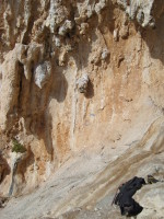 SNV80253.JPG